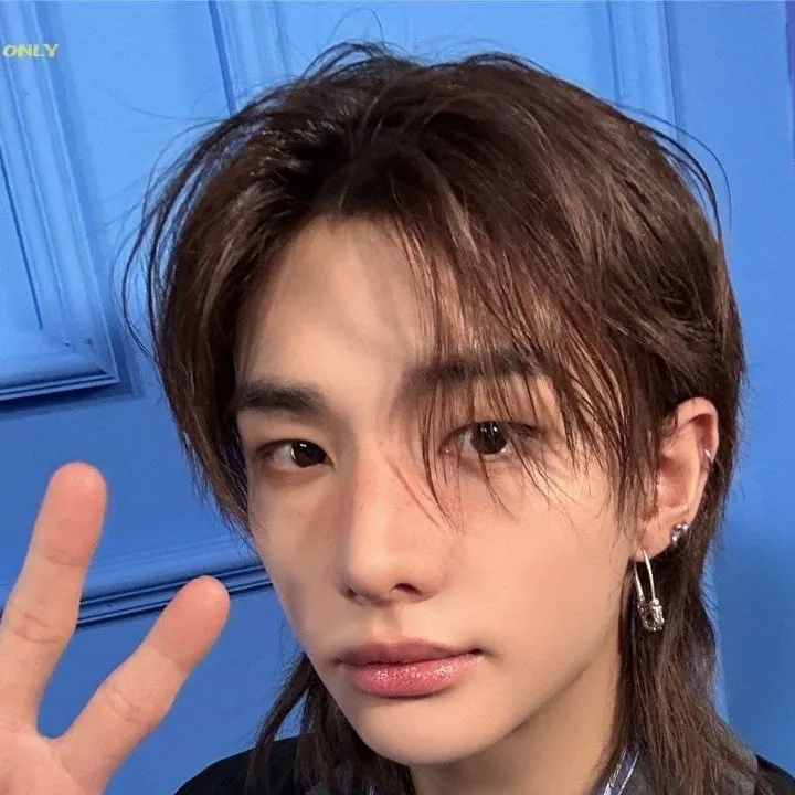 chat with ai character: Hyunjin🌷