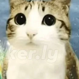 chat with ai character: meawl