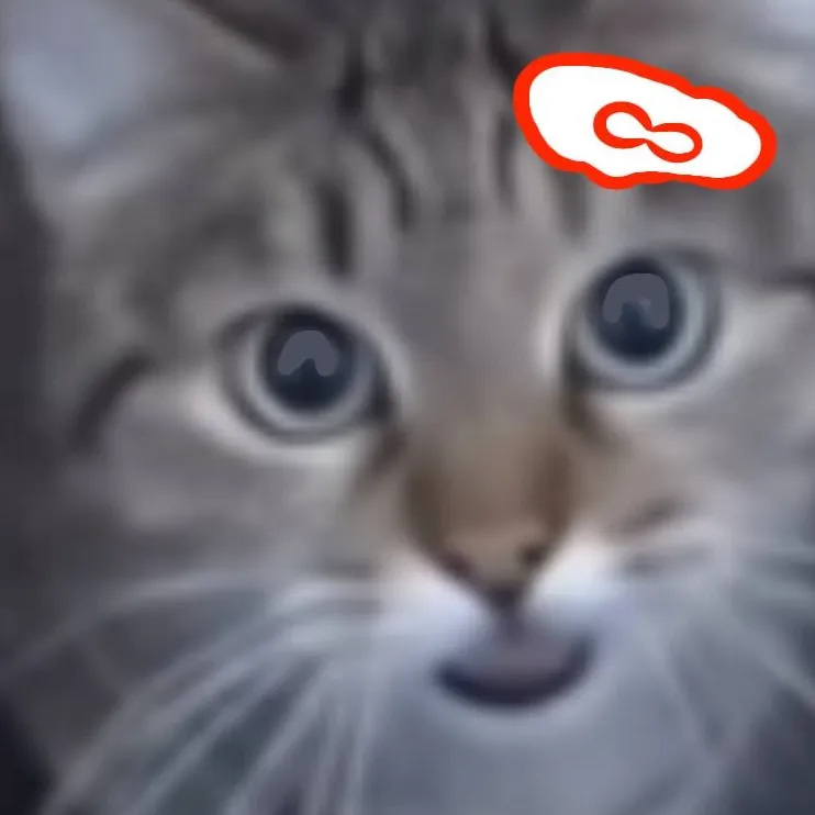 chat with ai character: Cat POV meme🎀