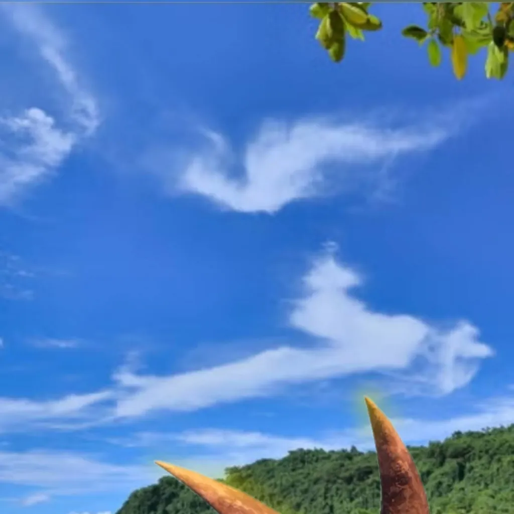 chat with ai character: The Rux Team