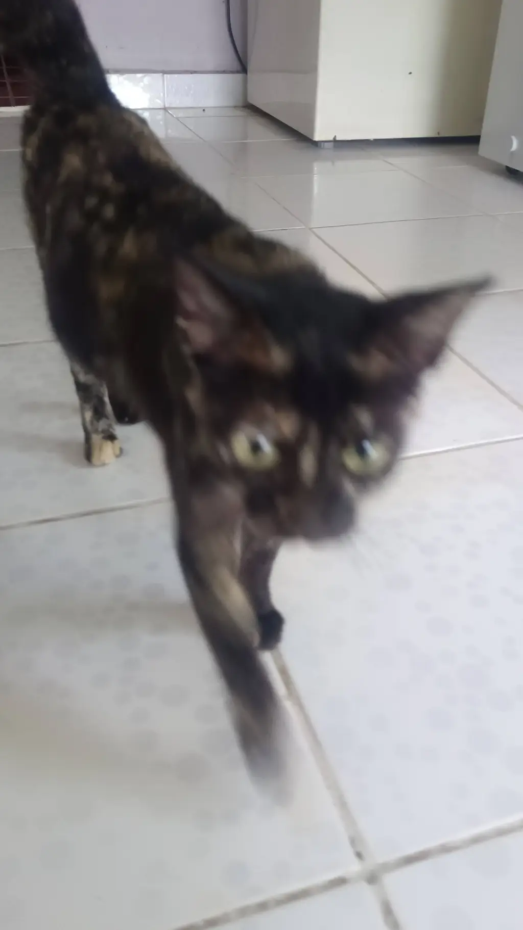 ai character: Pursuer background