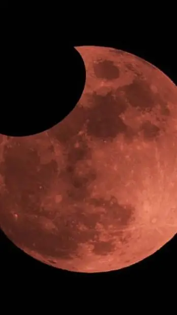 ai character: pelea con cuphead  background