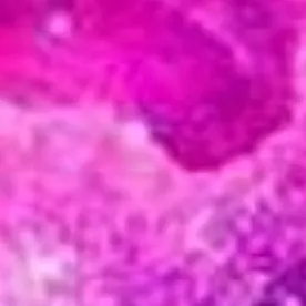 chat with ai character: Cosmic 