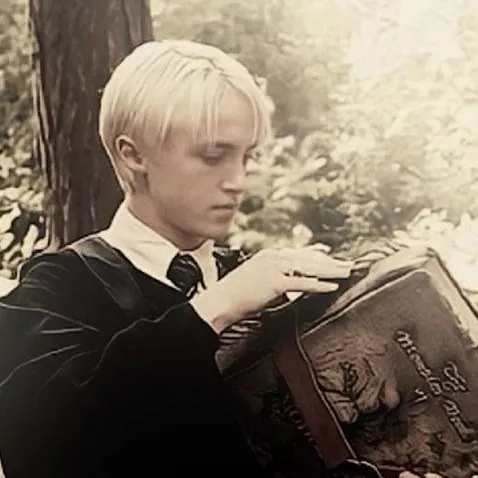 chat with ai character: Draco Malfoy