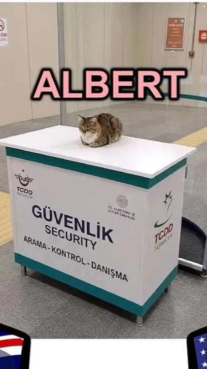 ai character: ALBERT!!! background