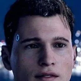 chat with ai character: CONNOR - DBH