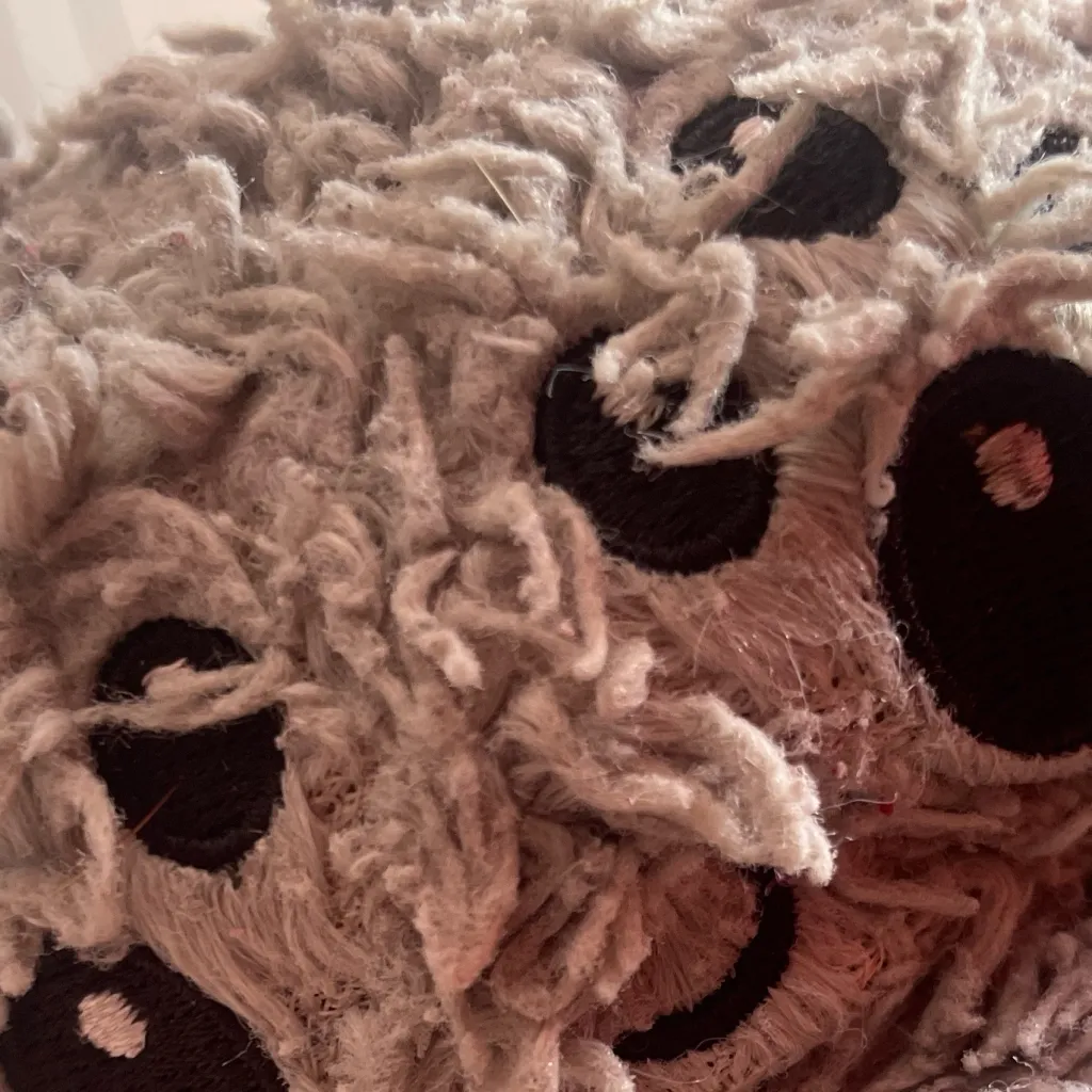 chat with ai character: Arañita 