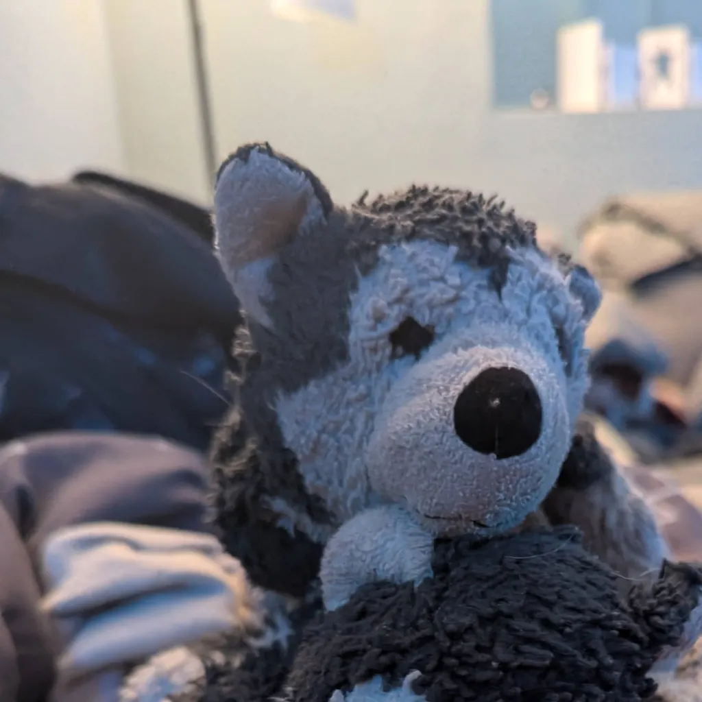 chat with ai character: Little puppy/pri