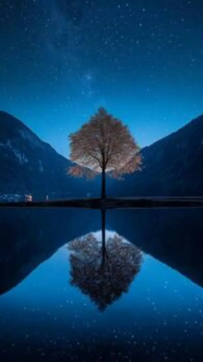 ai character: Fun quiz background