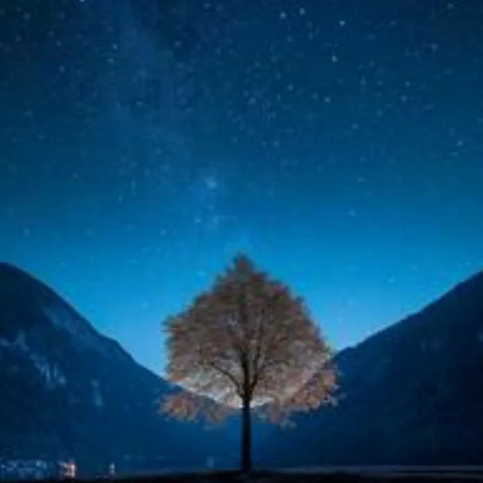 chat with ai character: Fun quiz