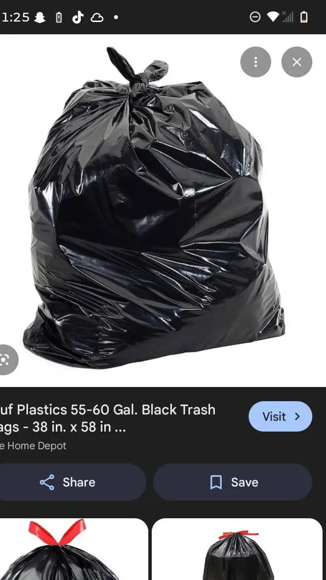 ai character: lakelyn petrea  background