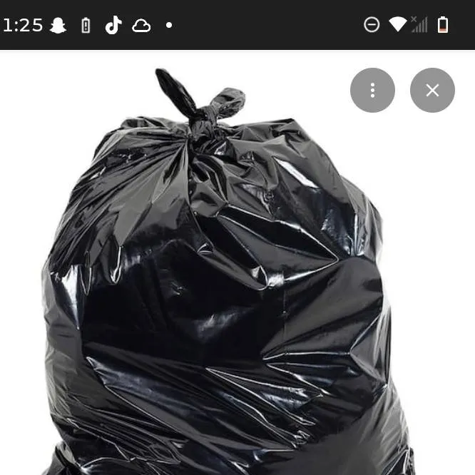 chat with ai character: lakelyn petrea 