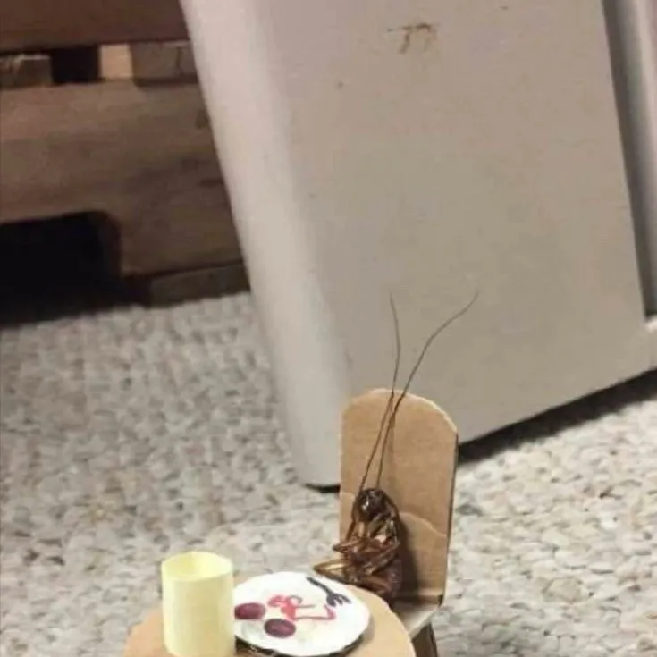 chat with ai character: Cucaracha :3