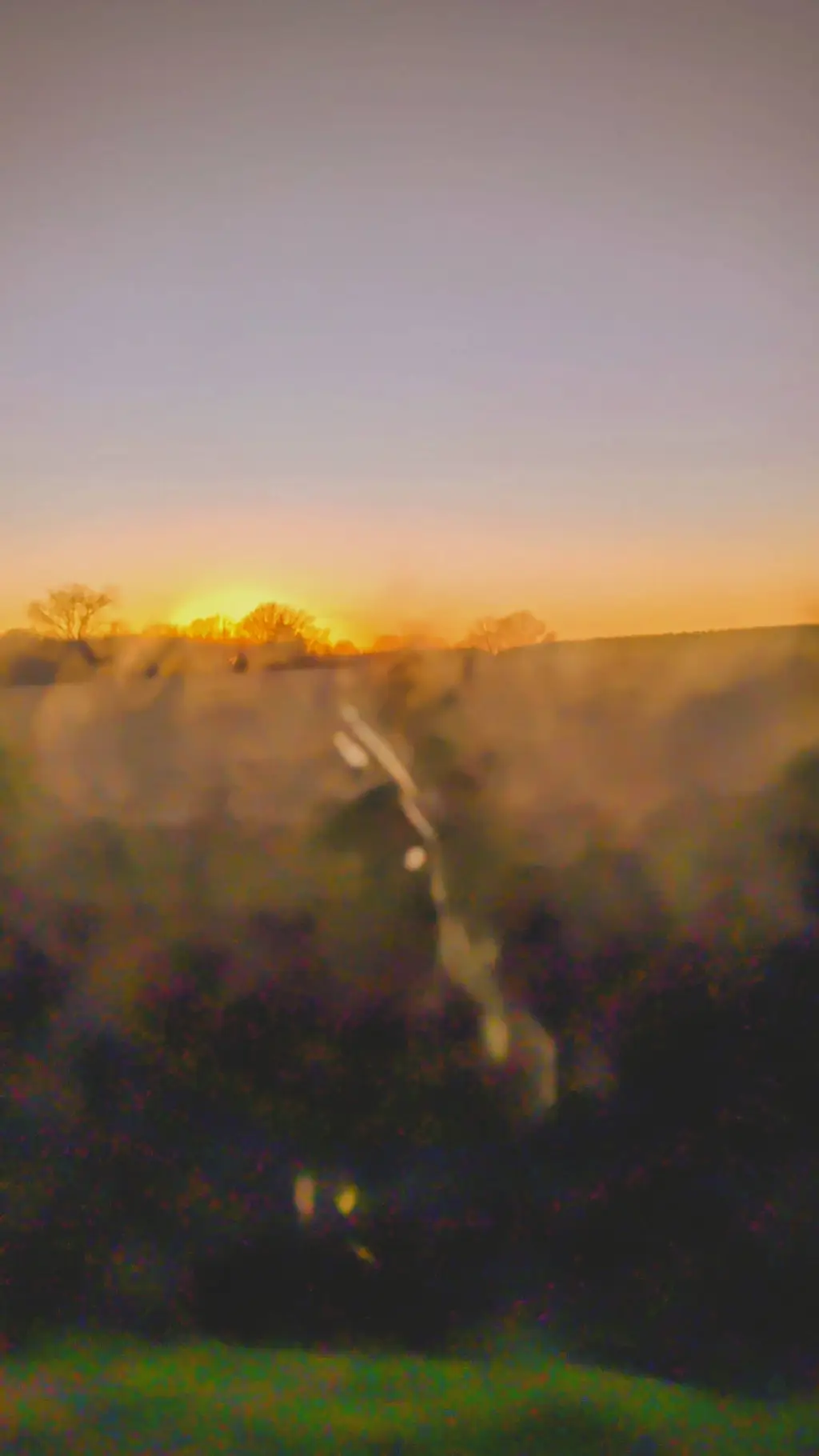 ai character: aph mid background