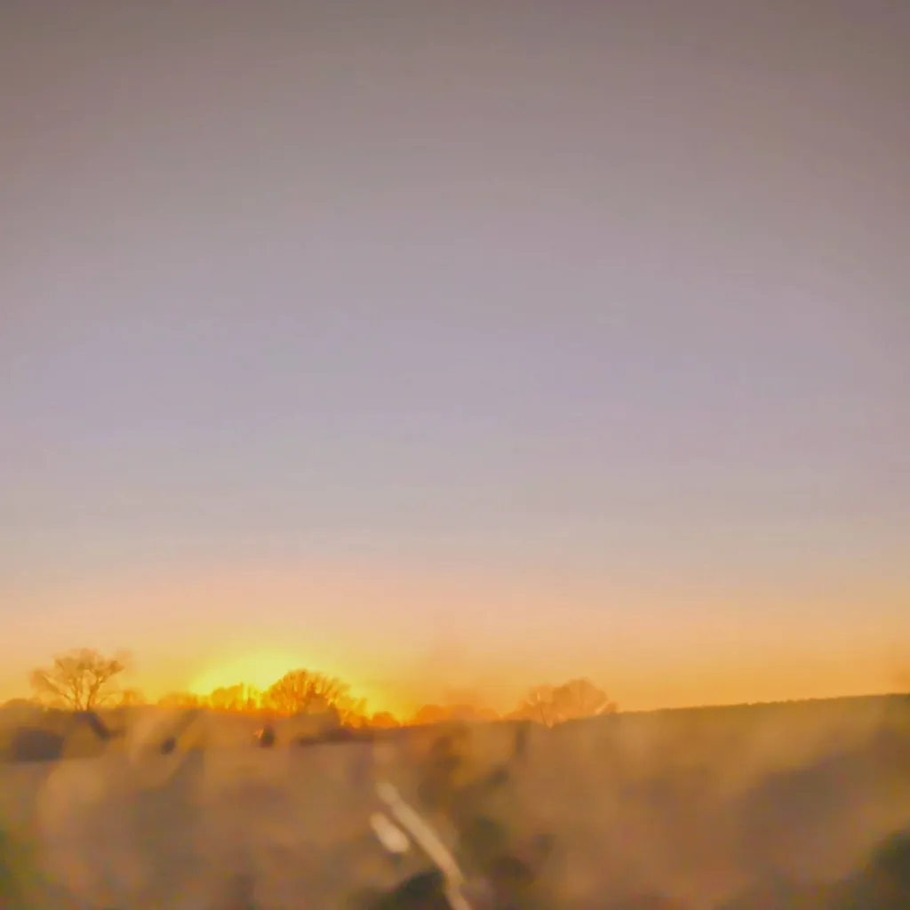 chat with ai character: aph mid