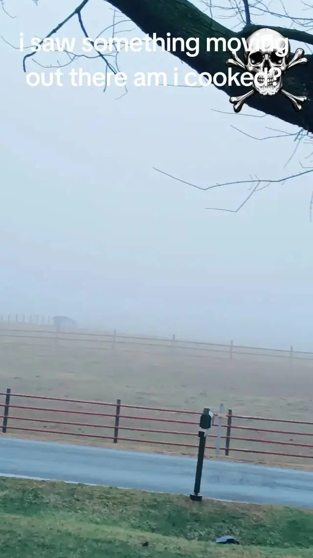 ai character: the mist background