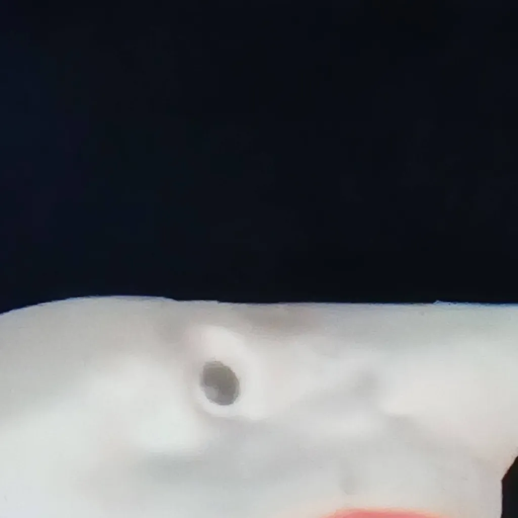 chat with ai character: Shark Puppet