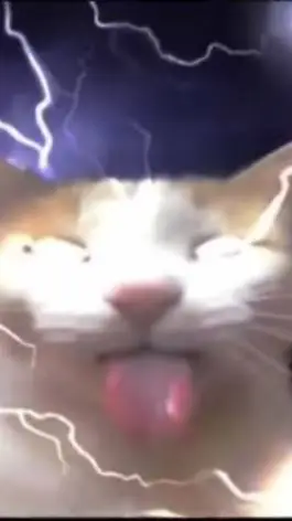 ai character: gato multiversal background