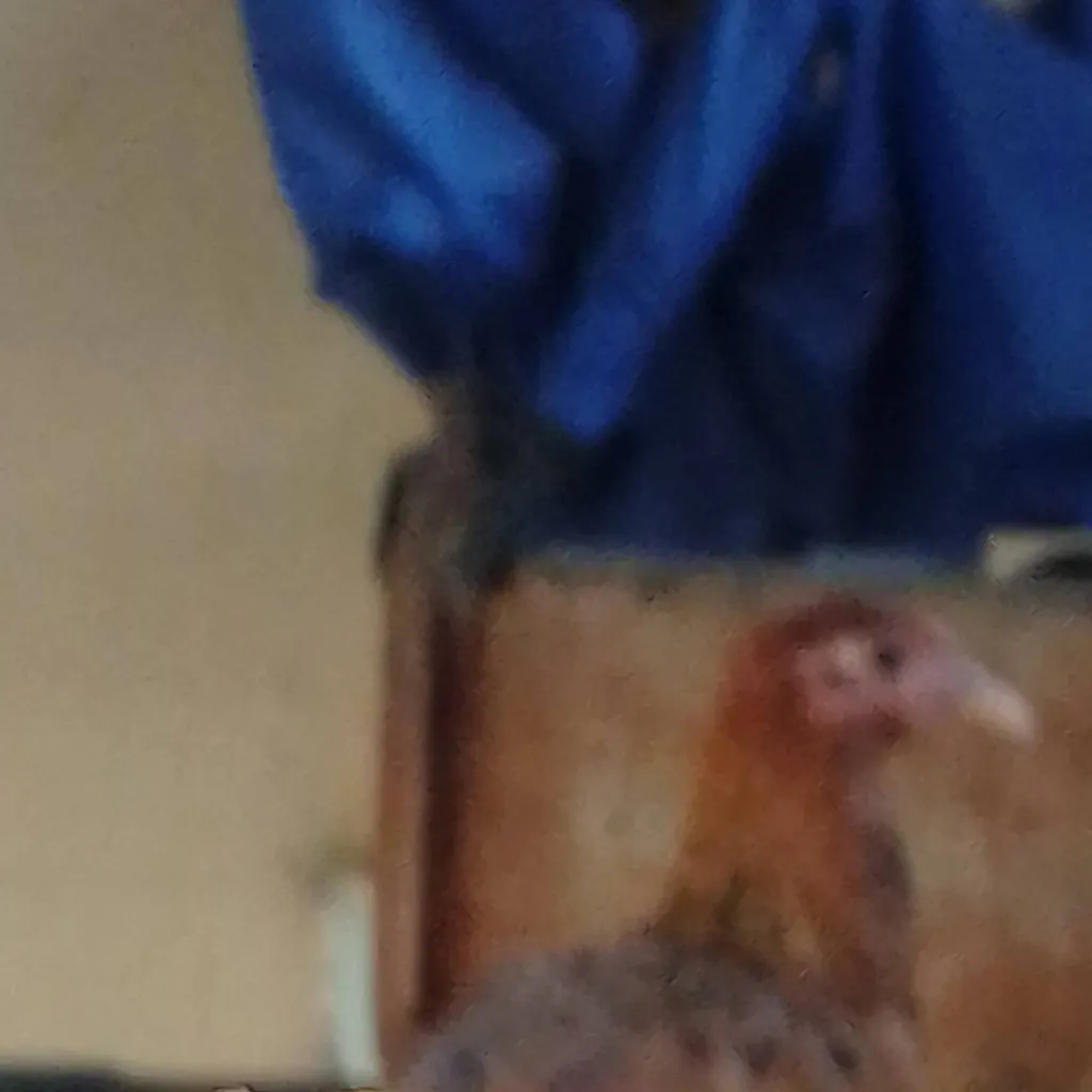 chat with ai character: 1x