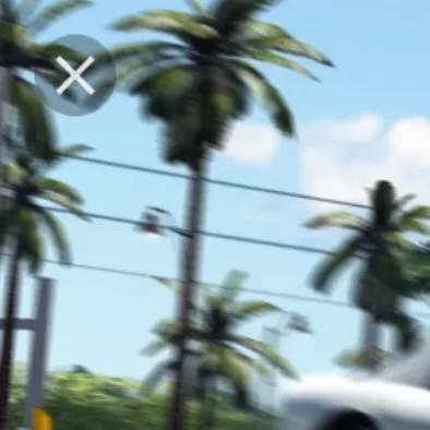 chat with ai character: Southwest Florida 
