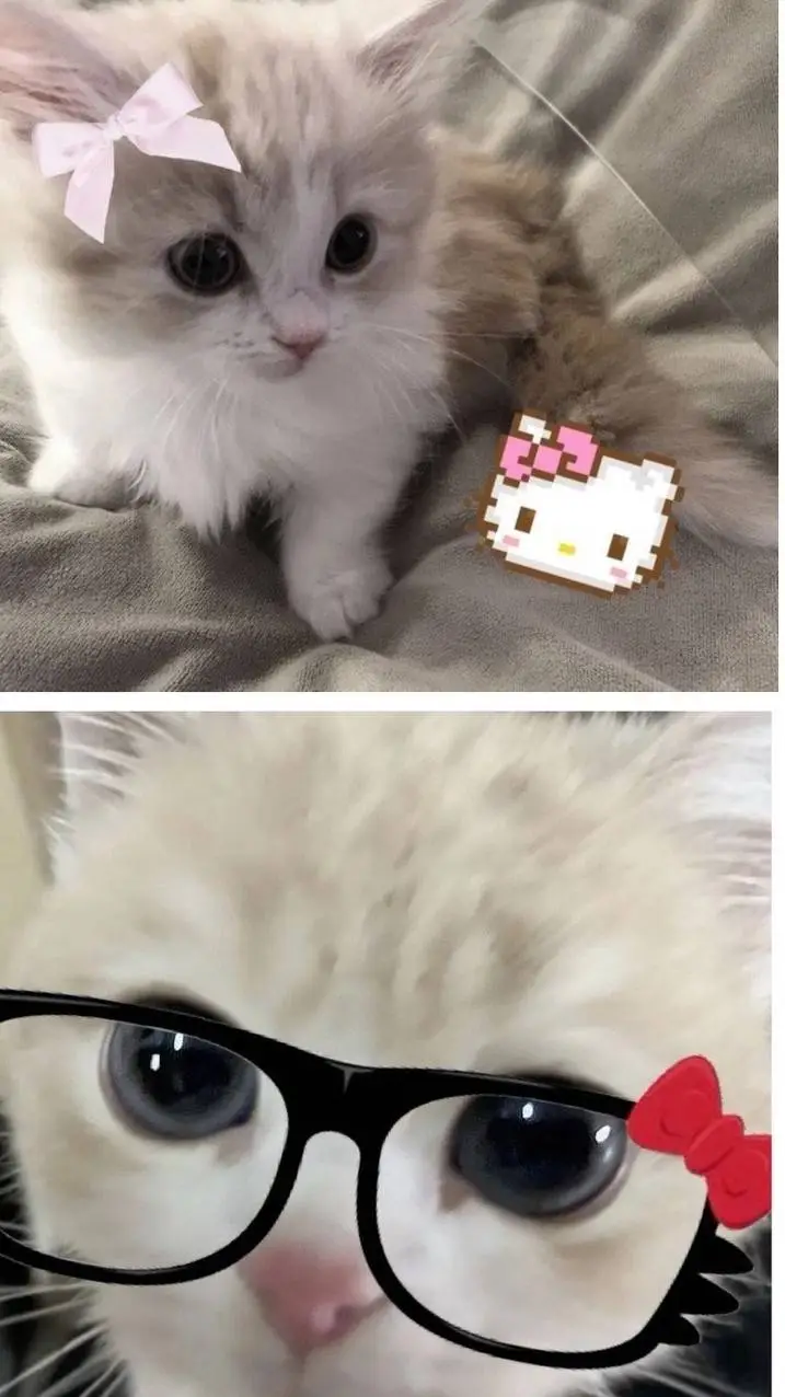 ai character: saman background