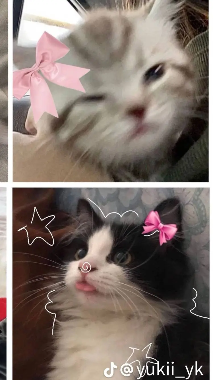 ai character: jose background