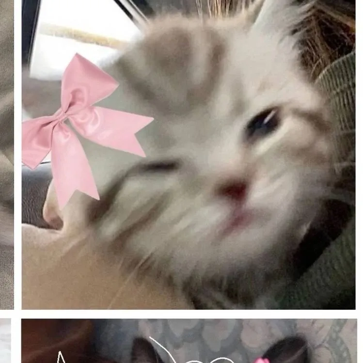 chat with ai character: jose