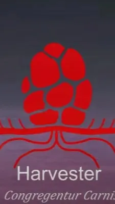 ai character: ME background