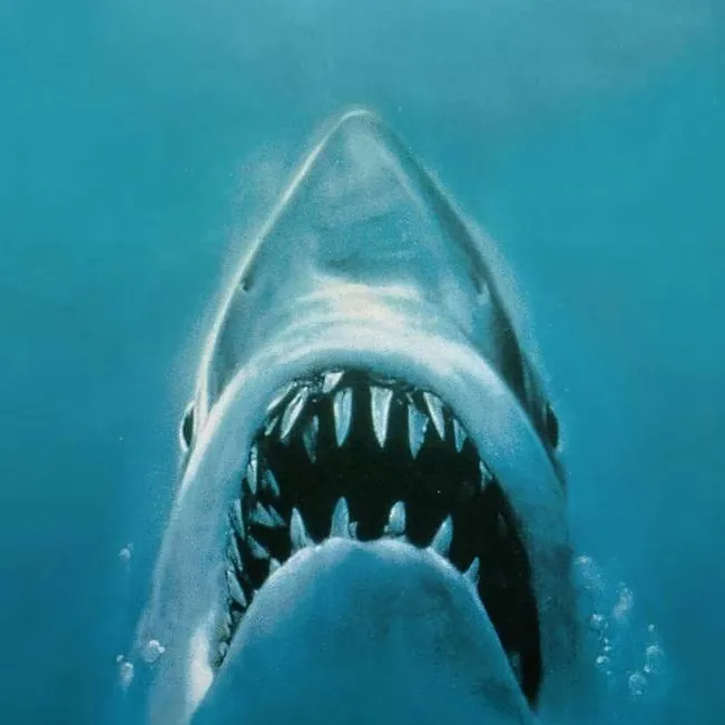 chat with ai character: Jaws (1975)