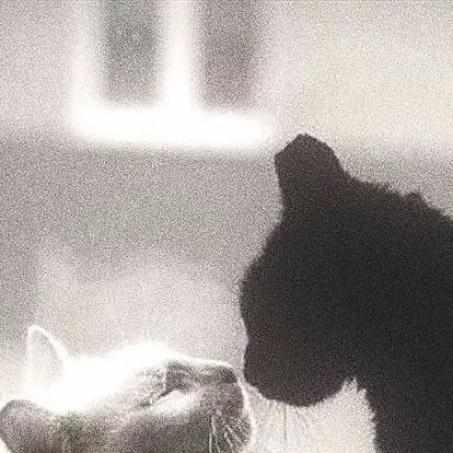 chat with ai character: Sofia