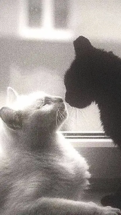 Talkie AI - Chat with Sofia