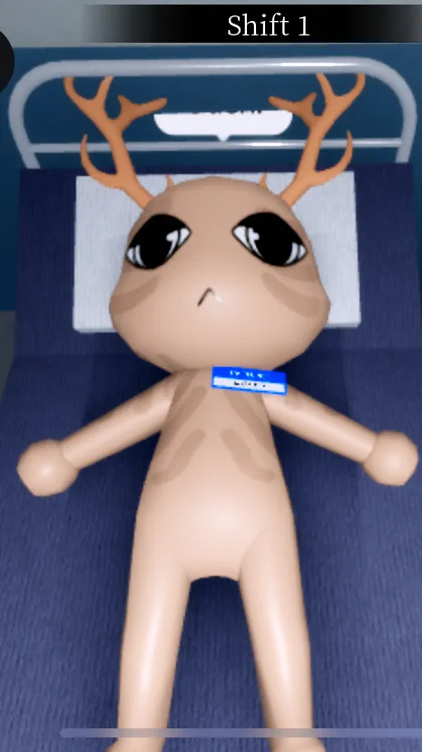 ai character: Koko kim background