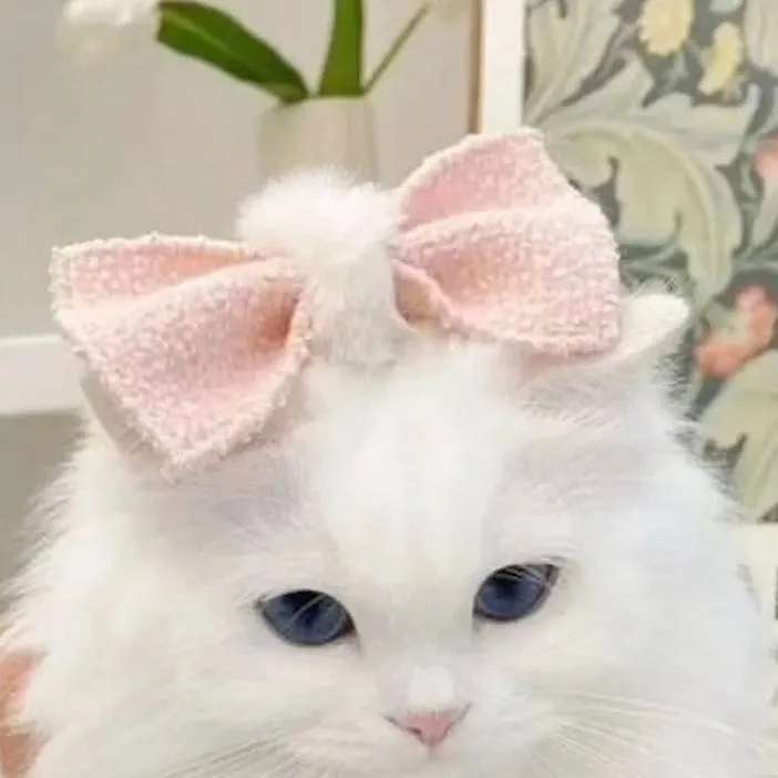 chat with ai character: tu gatita