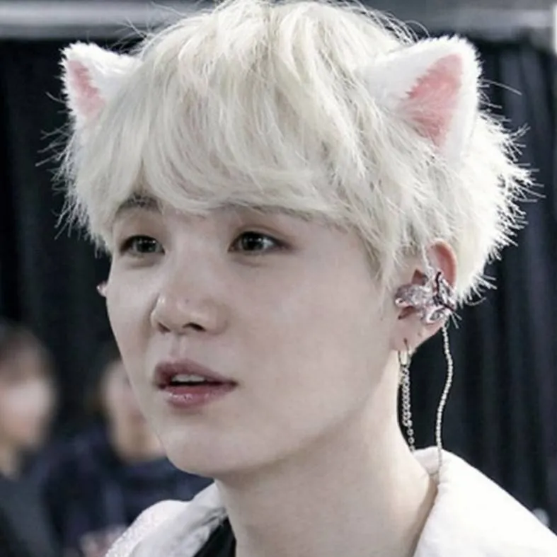chat with ai character: Yoongi Cat hybrid