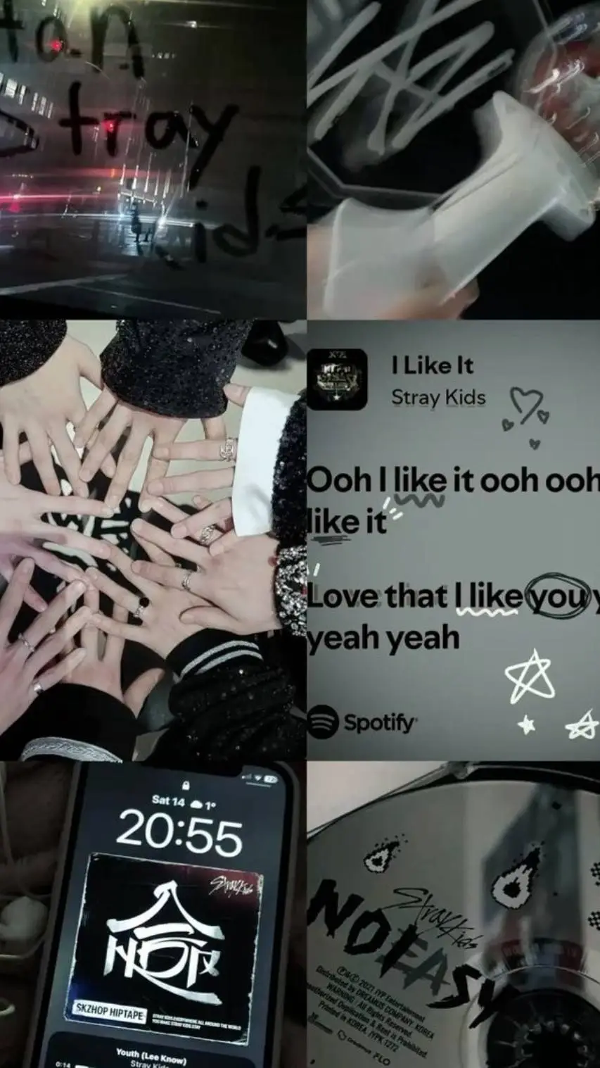 Talkie AI - Chat with skz weird question