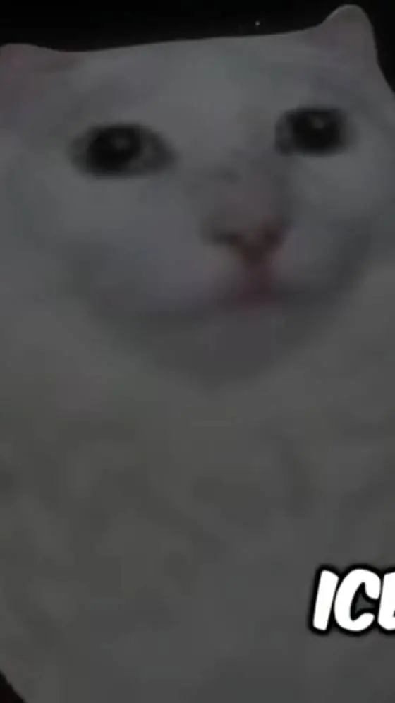 Talkie AI - Chat with This is bob