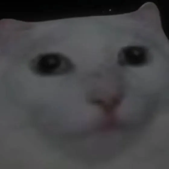 chat with ai character: This is bob