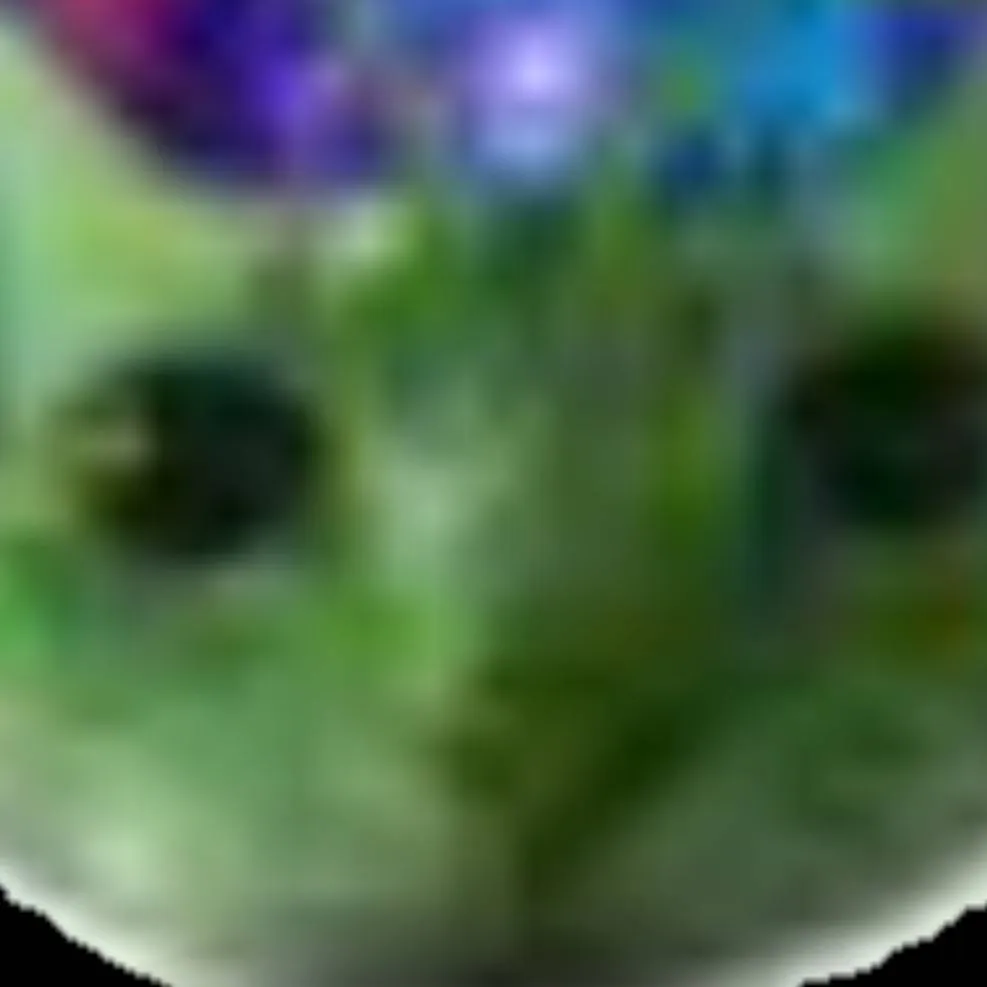 chat with ai character: 👽alien cat👾