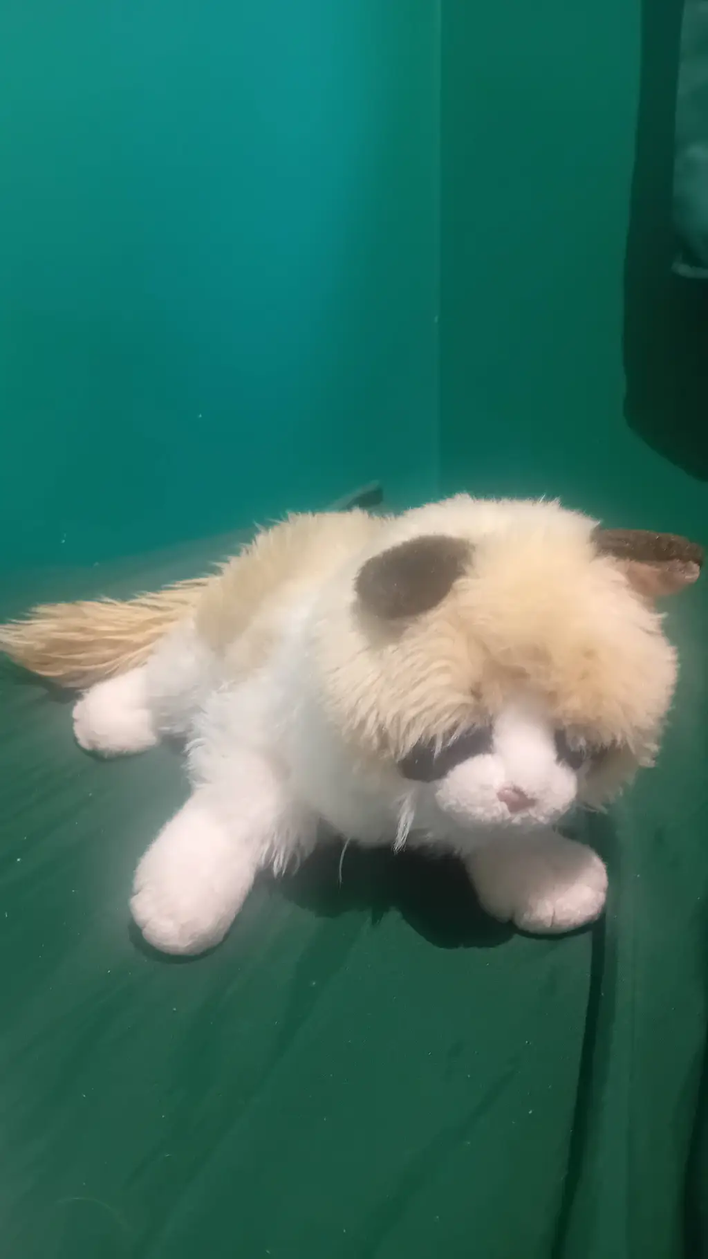 ai character: Mittens background