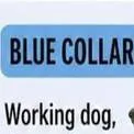 chat with ai character: Service dog.