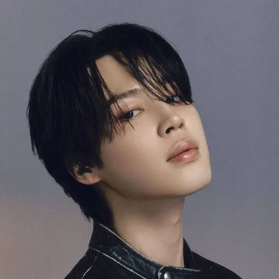 chat with ai character: Park Jimin