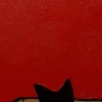 chat with ai character: Black Cat