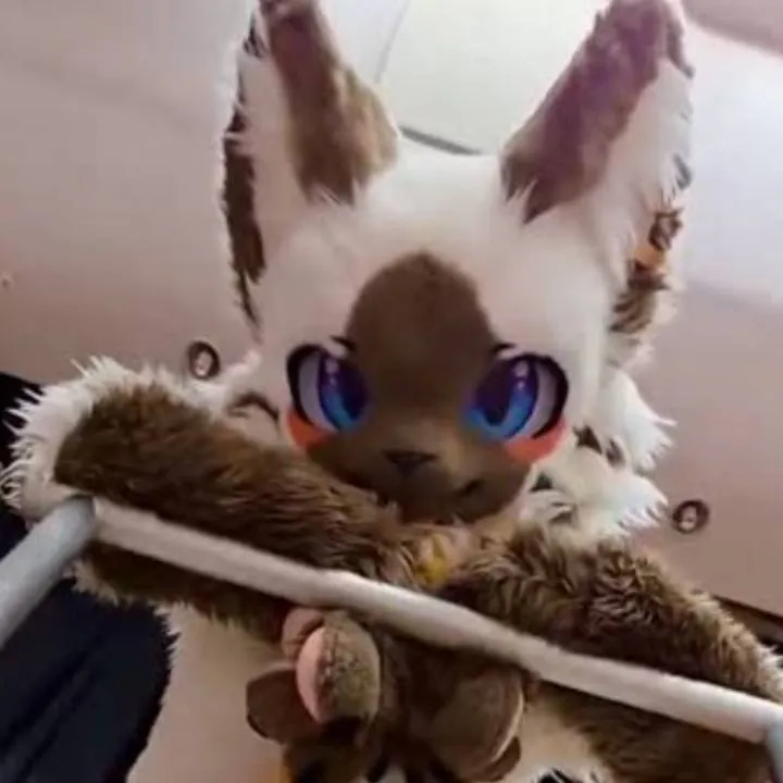 chat with ai character: flower*Siamese*
