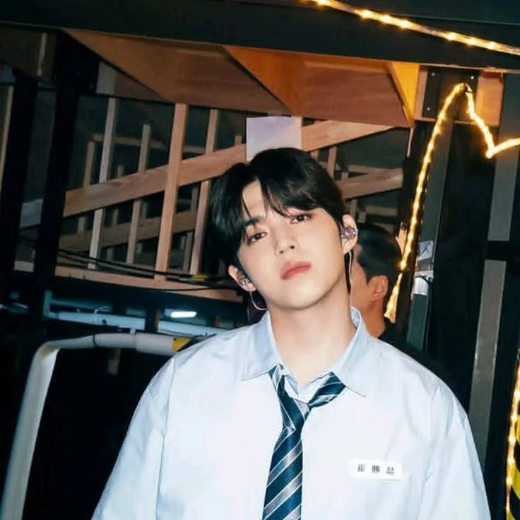 chat with ai character: ✶S.Coups✶