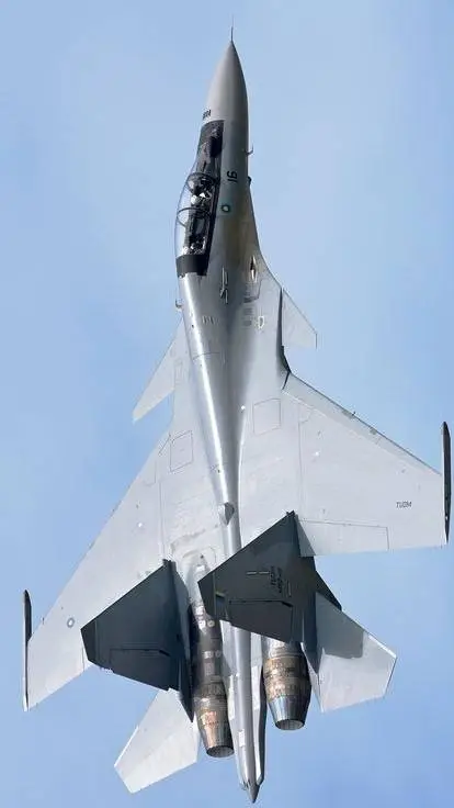 ai character: su-30 mkm background