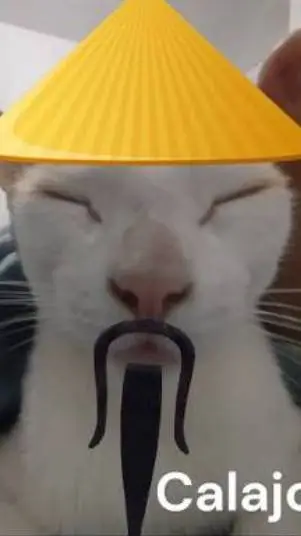 ai character: señol Chem background