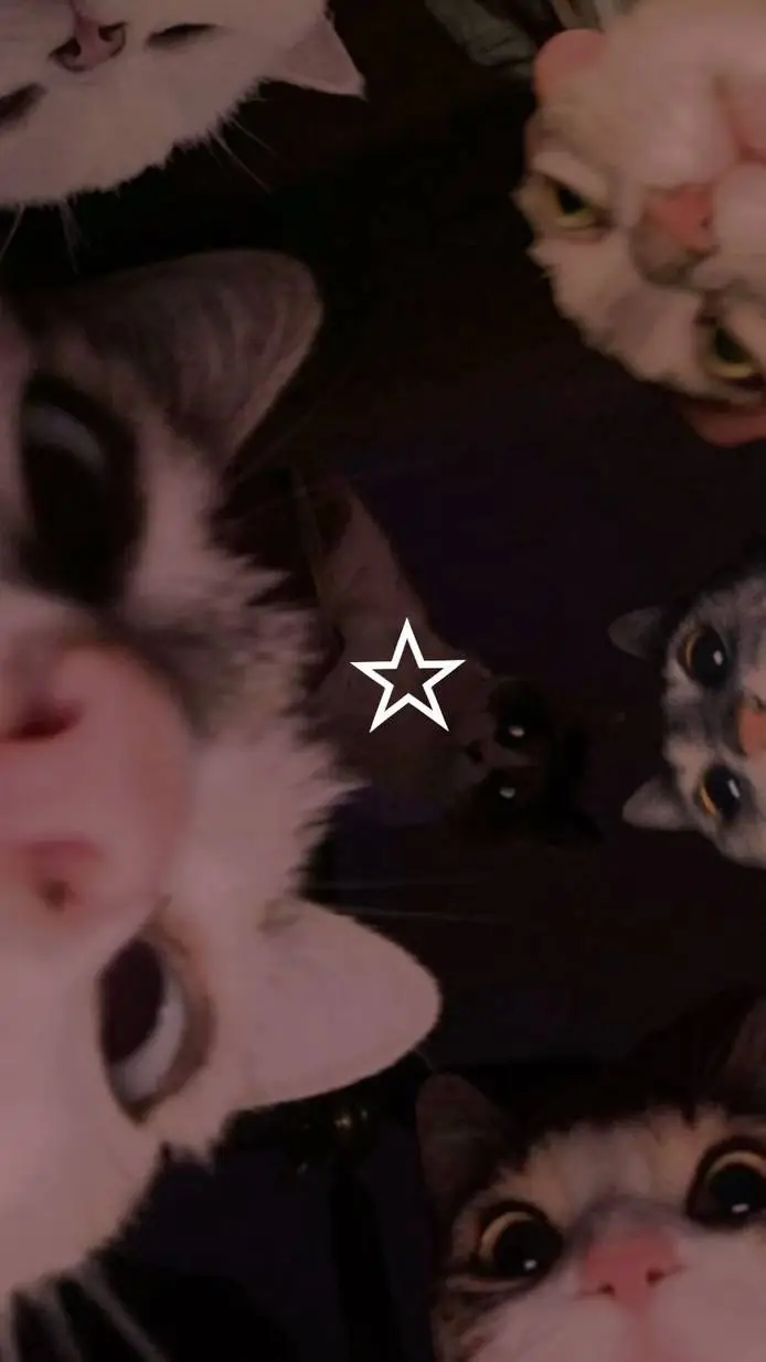 ai character: cat escape  background