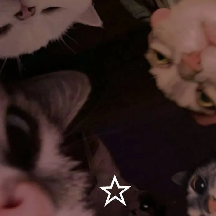 chat with ai character: cat escape 