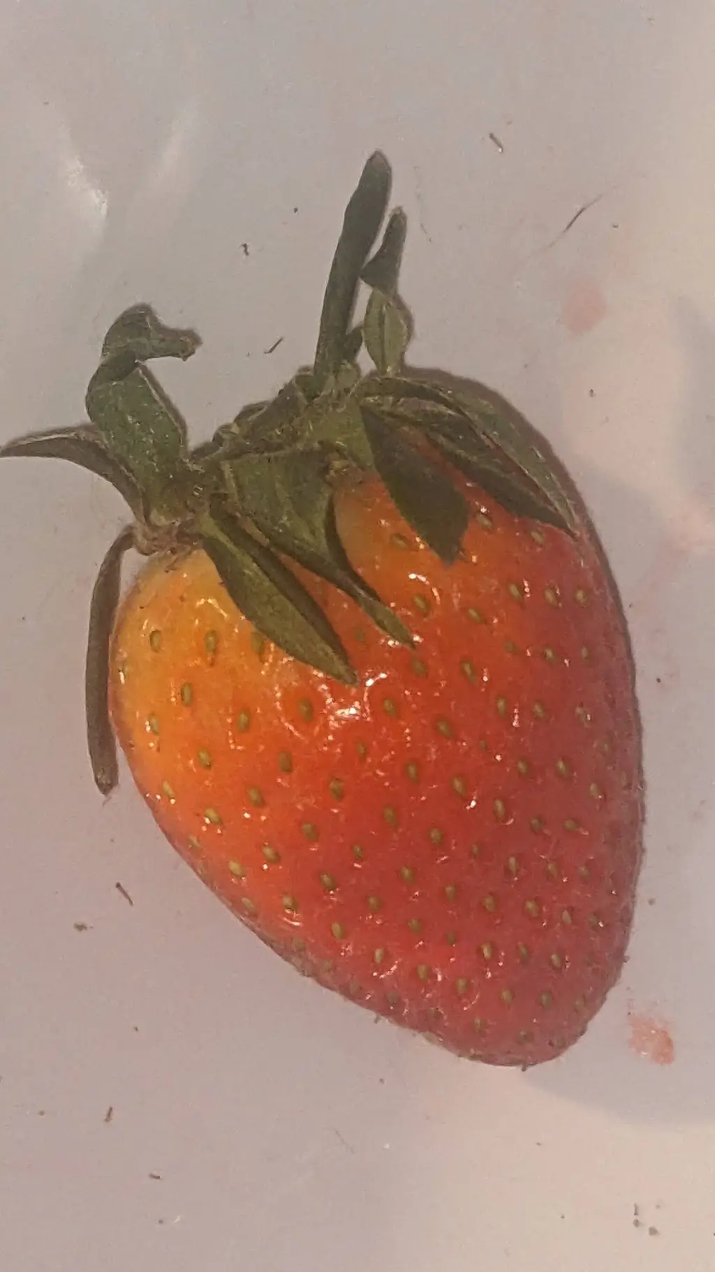 ai character: amyy,Zoe and mia  background