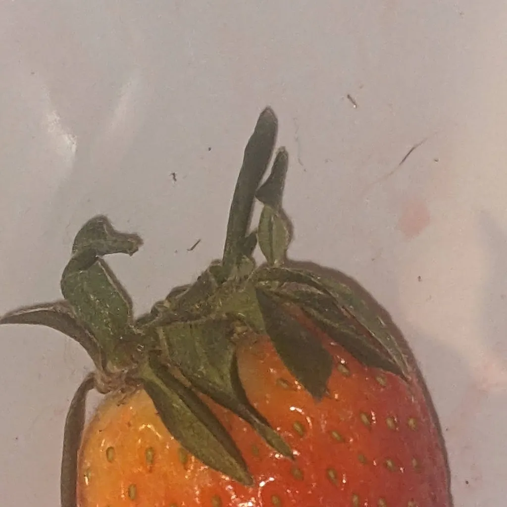 chat with ai character: amyy,Zoe and mia 